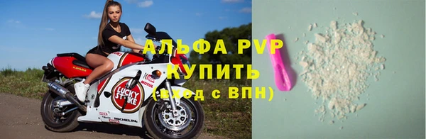 трава Бородино