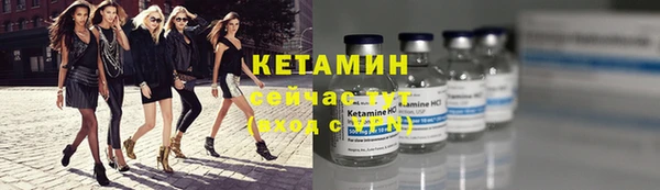 трава Бородино