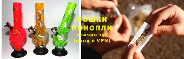 трава Бородино
