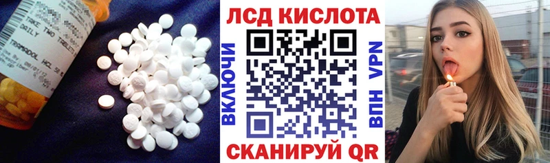 LSD-25 экстази кислота  как найти   Губаха 